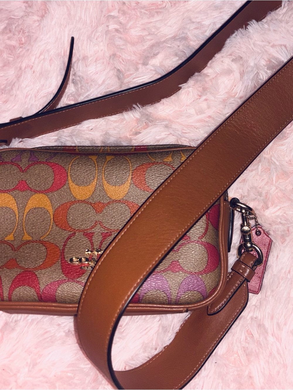 Coach Multicolor Signature Canvas Crossbody with Brown Leather Trim